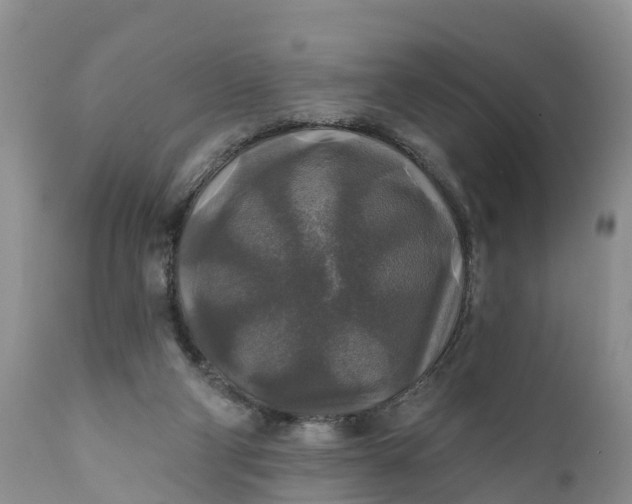 X0000111380114200907241319