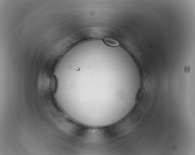 X0000111380117200907241319