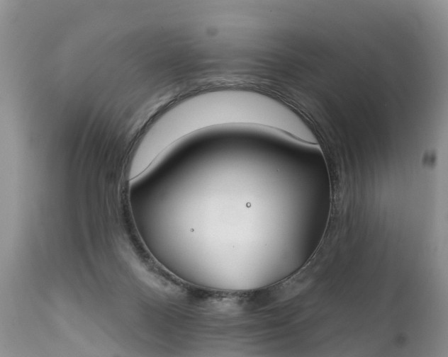 X0000111380120200907241319