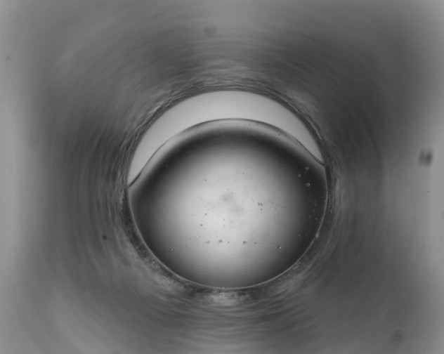 X0000111380121200907241319