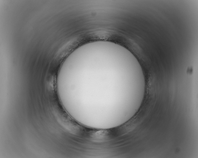 X0000111380122200907241319