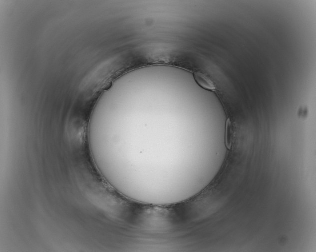 X0000111380125200907241319