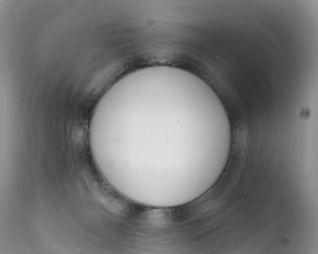 X0000111380126200907241319