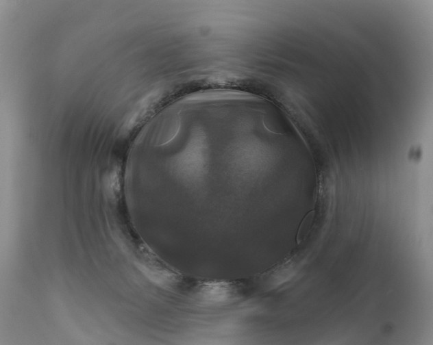 X0000111380127200907241319