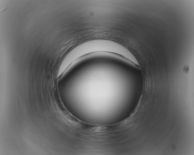 X0000111380128200907241319