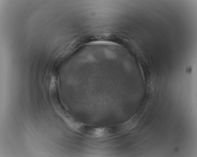 X0000111380130200907241319