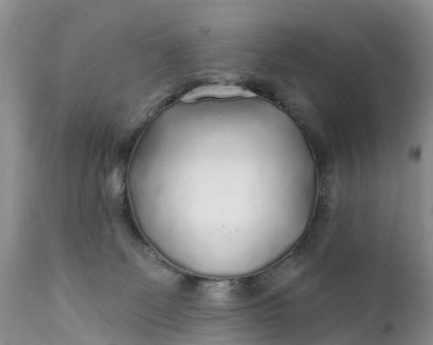 X0000111380131200907241319