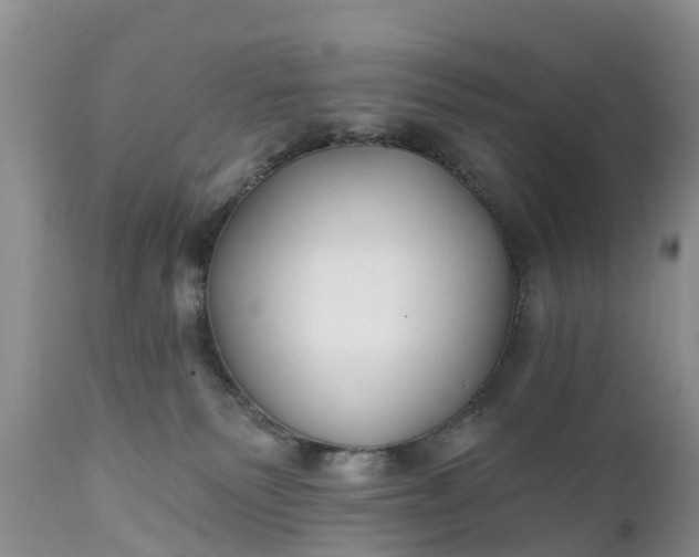 X0000111380135200907241319