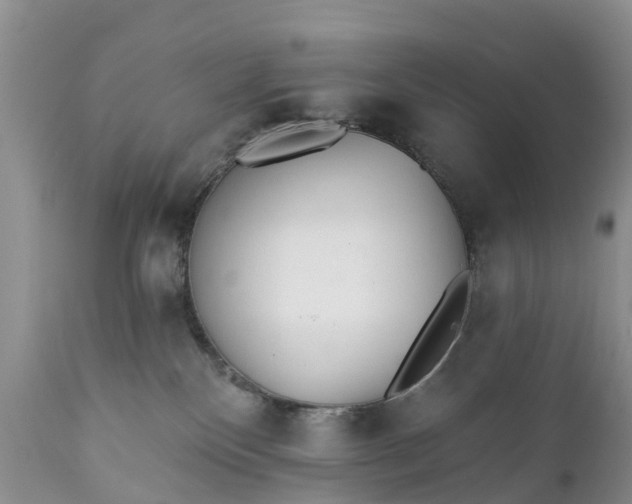 X0000111380136200907241319