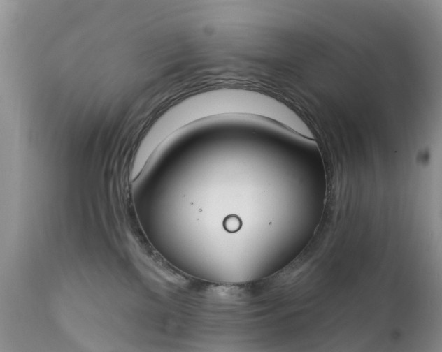 X0000111380137200907241319