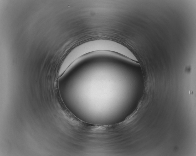 X0000111380140200907241319