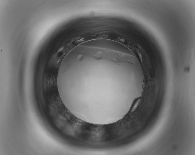 X0000111380143200907241319