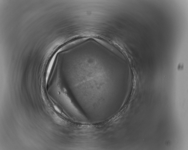 X0000111380145200907241318