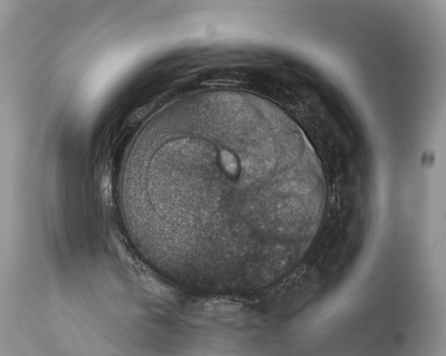 X0000111380146200907241318