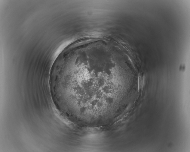 X0000111380147200907241318