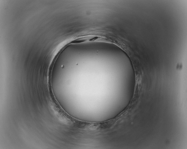 X0000111380148200907241318