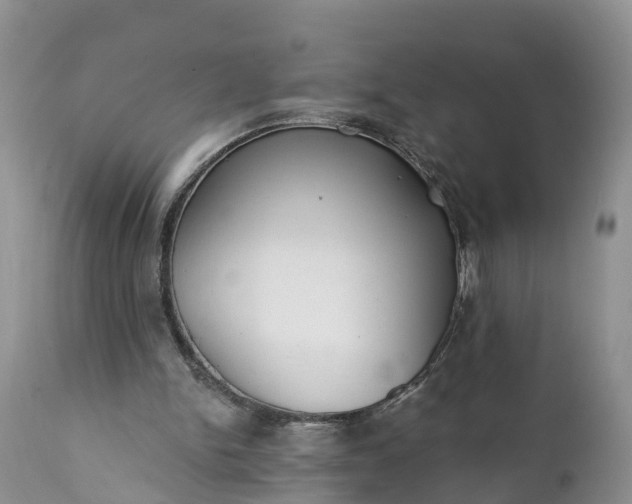 X0000111380150200907241318