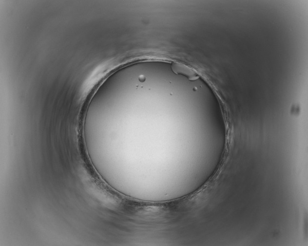 X0000111380151200907241318