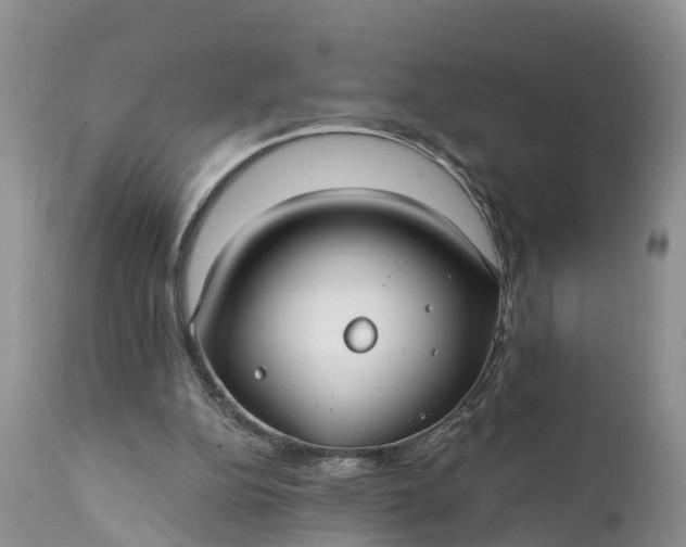 X0000111380152200907241318