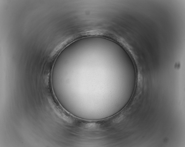 X0000111380153200907241318