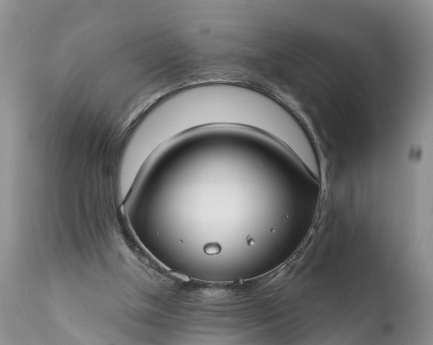 X0000111380154200907241318