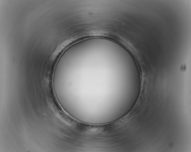 X0000111380155200907241318