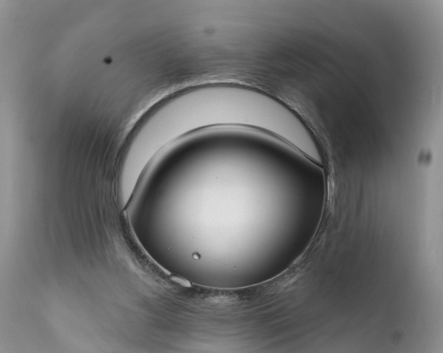 X0000111380156200907241318