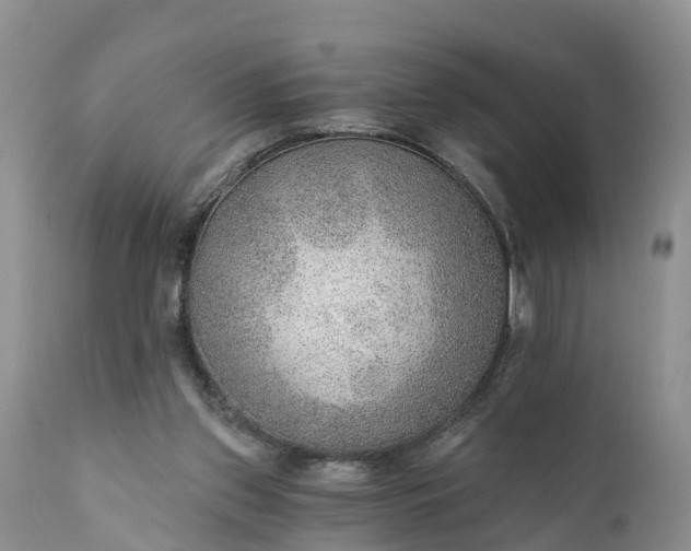 X0000111380157200907241318