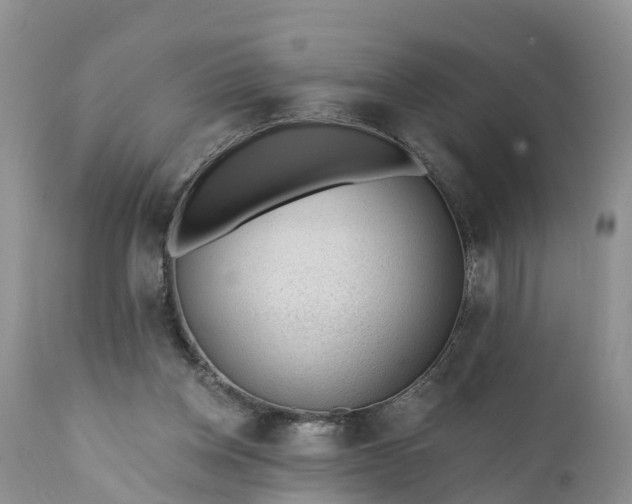 X0000111380158200907241318