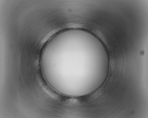 X0000111380159200907241318