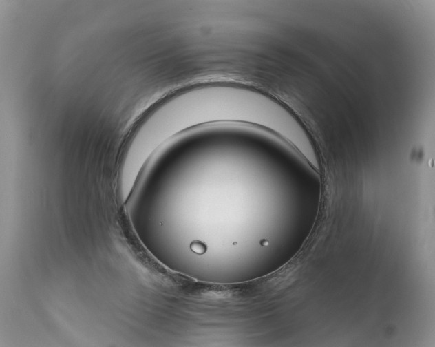 X0000111380160200907241318