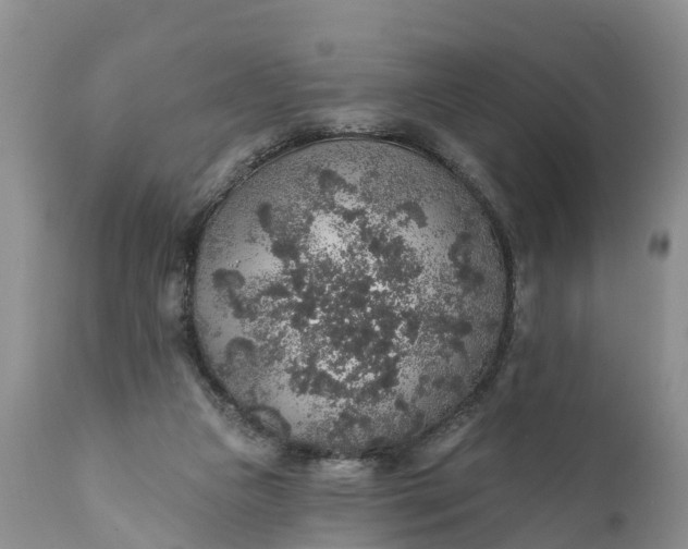 X0000111380161200907241318