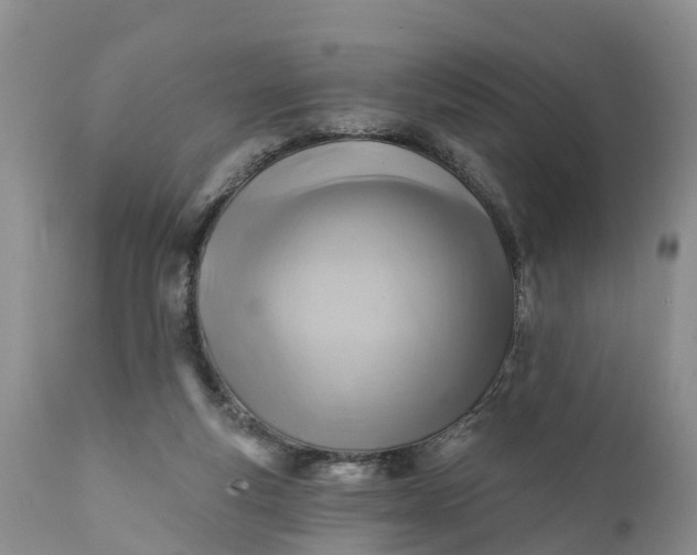 X0000111380163200907241318