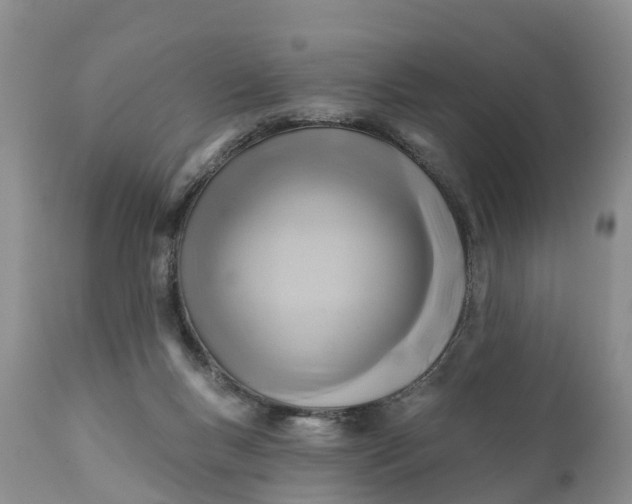 X0000111380167200907241318