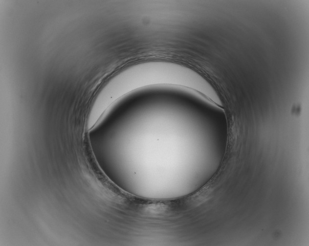 X0000111380168200907241318