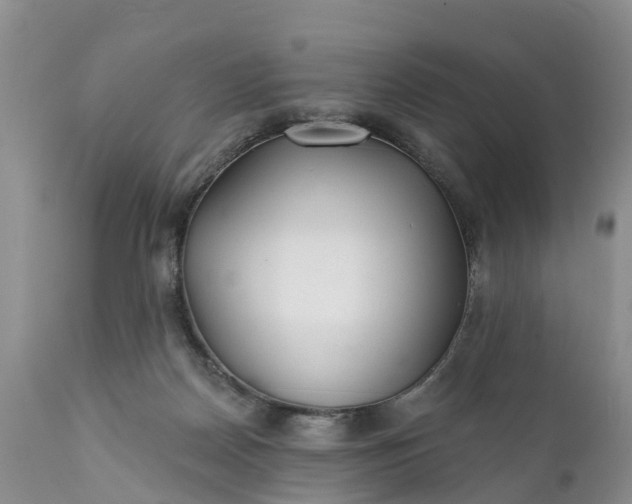 X0000111380170200907241318