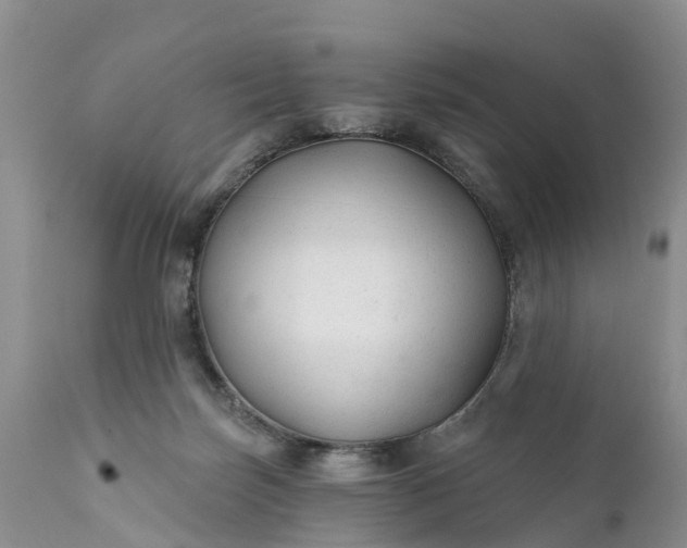 X0000111380171200907241318