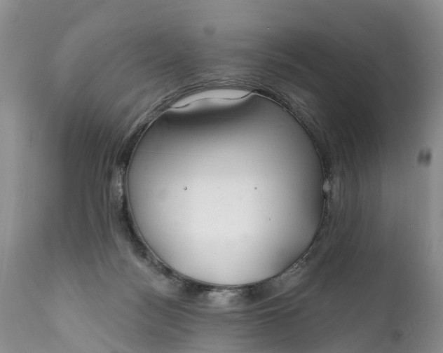 X0000111380172200907241318