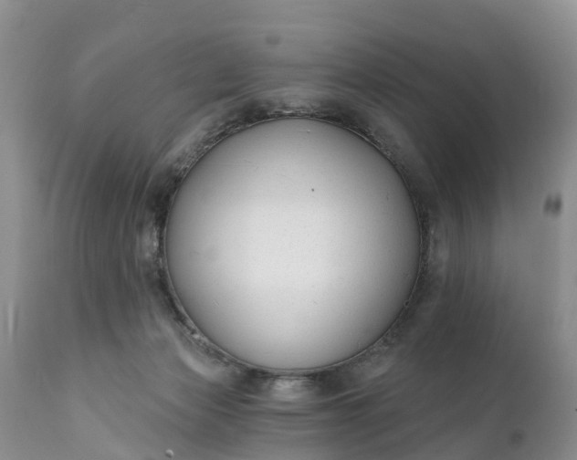 X0000111380173200907241318