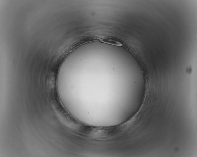 X0000111380174200907241318