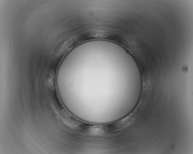 X0000111380175200907241318