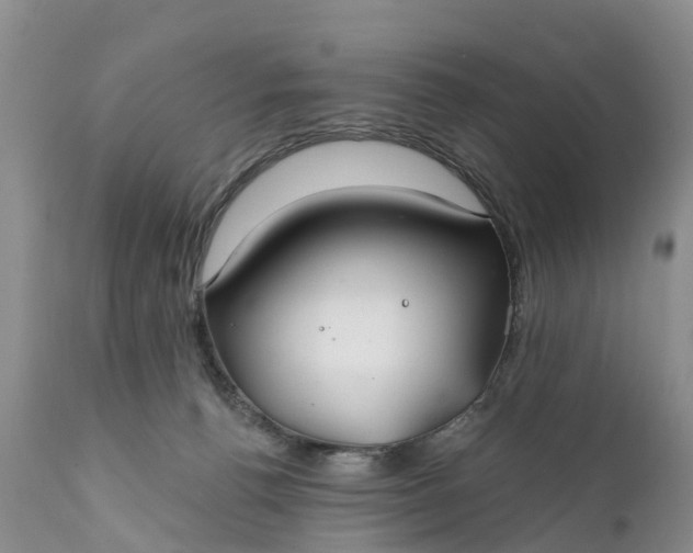 X0000111380176200907241318