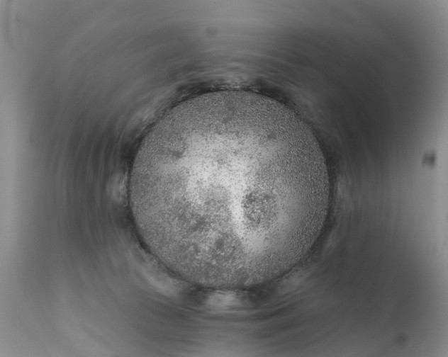 X0000111380177200907241318