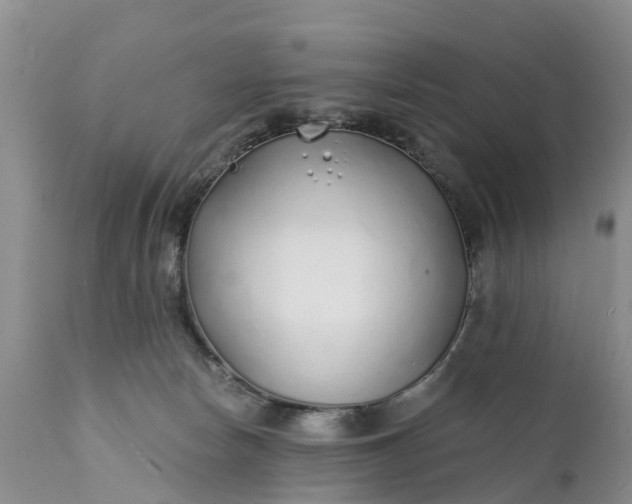 X0000111380178200907241318