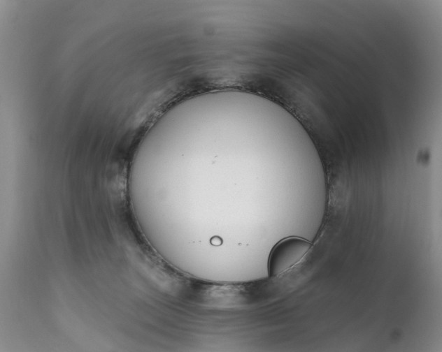 X0000111380179200907241318