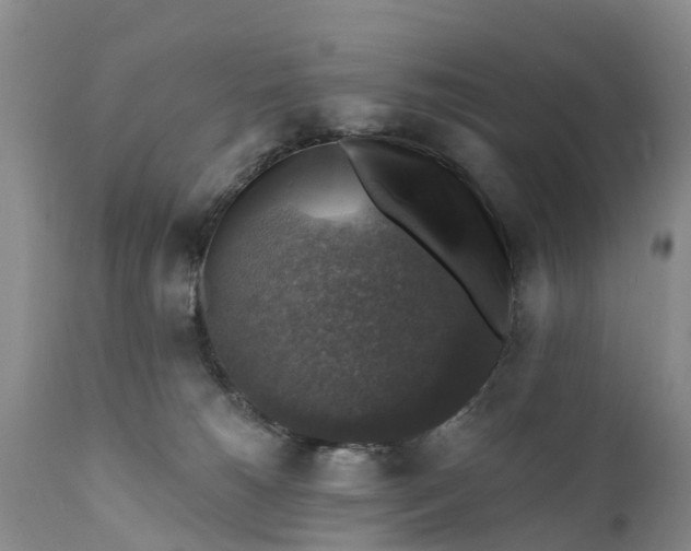 X0000111380180200907241318