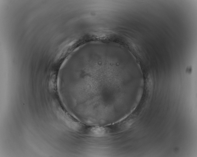 X0000111380181200907241318