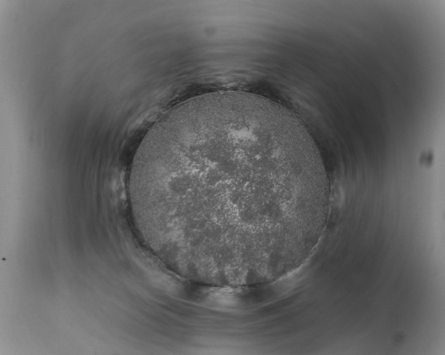 X0000111380182200907241318