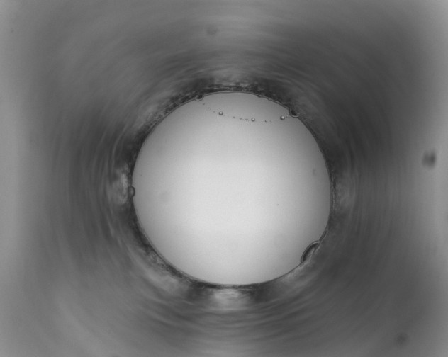 X0000111380183200907241318