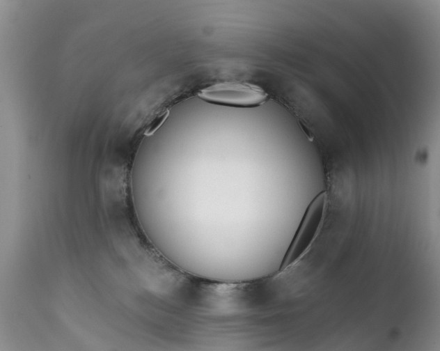 X0000111380184200907241318